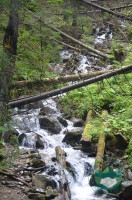 Potoki w Tatrach
